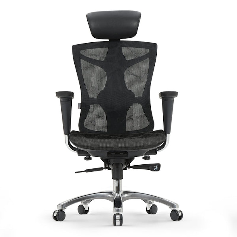 V1 Ergonomic Chair 1