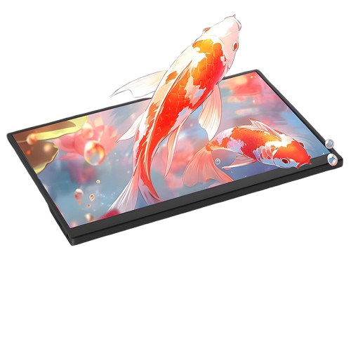 Portable Monitor  2
