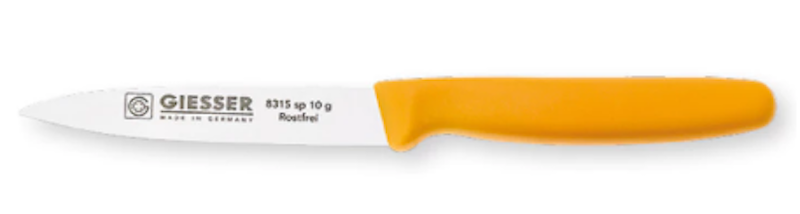 Professional Paring Knife 1