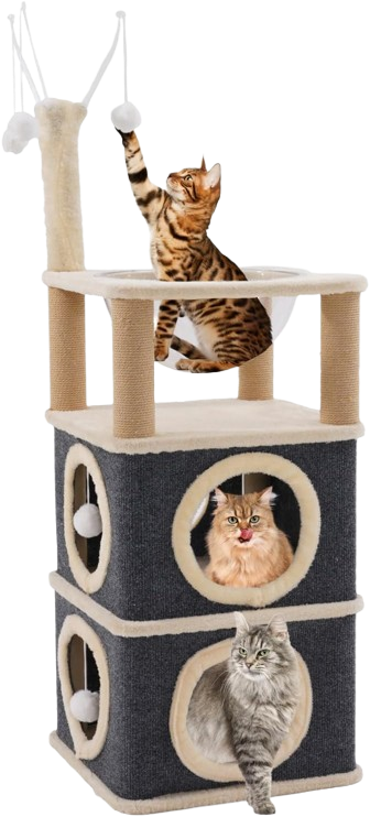 Cat House With Space Capsule 1