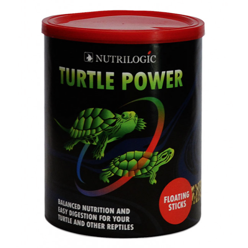 Turtle Power 1