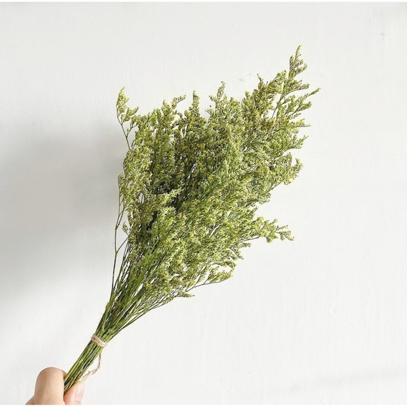 Lover Grass Bunch 1