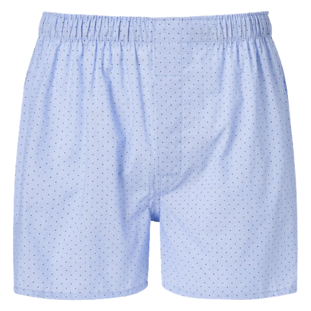 10 Best Men's Boxer Shorts in the Philippines 2025 Buying Guide