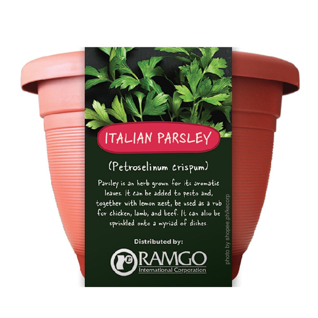 10 Best Grow Kits in the Philippines 2026 2