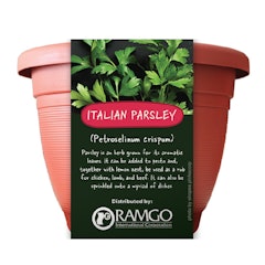 Italian Parsley Grow Kit