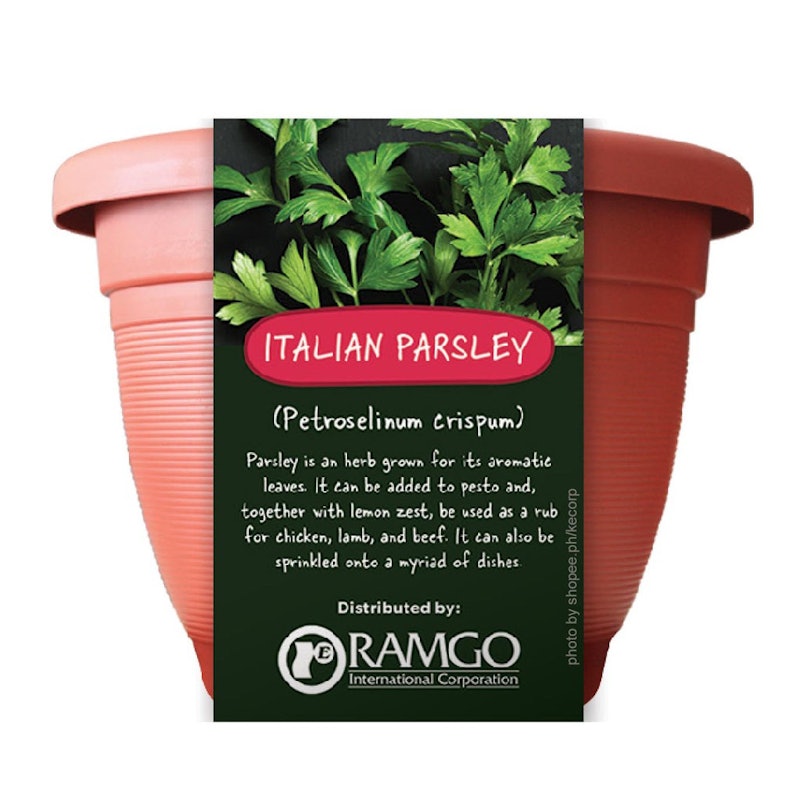 Italian Parsley Grow Kit 1