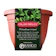 Ramgo Italian Parsley Grow Kit 1