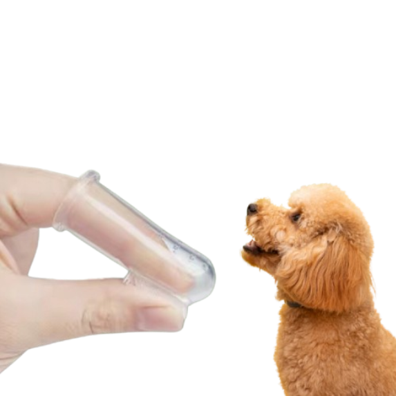 Dental Finger Brush 1