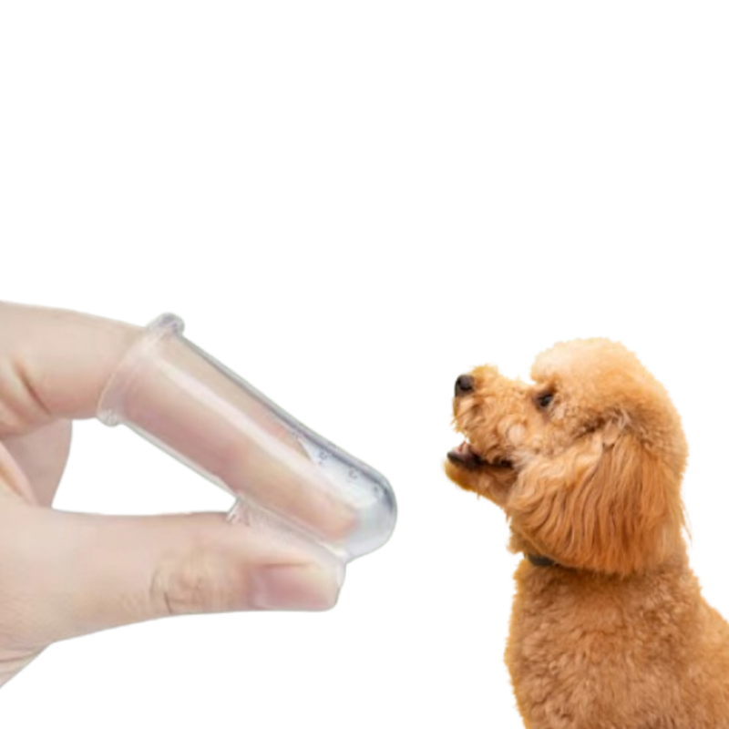 Dental Finger Brush 1