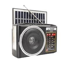 Solar Radio