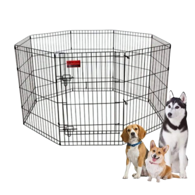 10 Best Dog Cages in the Philippines 2026 | Buying Guide Reviewed by Veterinarian 4