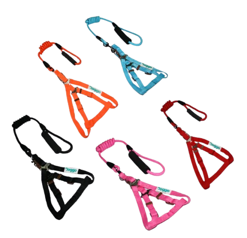 10 Best Dog Harnesses for Walking in the Philippines 2026 | Buying Guide Reviewed by Veterinarian 4
