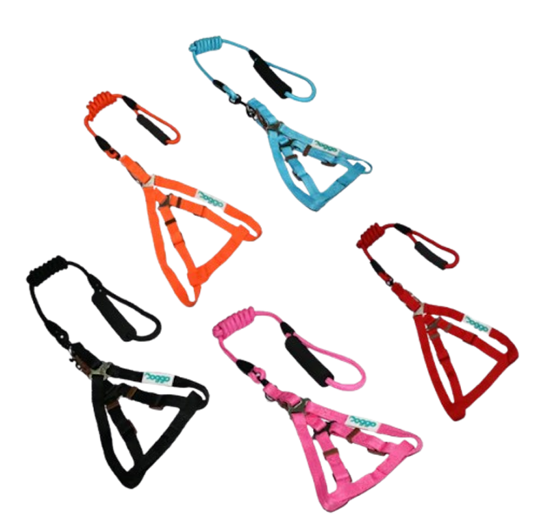 Strong Harness 1