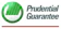 Prudential Guarantee and Assurance, Inc. Auto Insurance 1