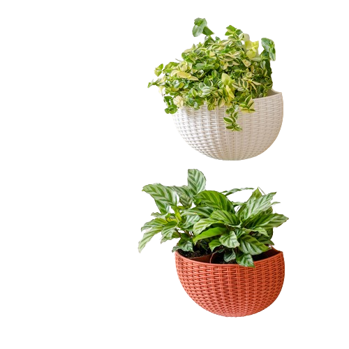 Imitation Rattan Wall Hanging Pot 1