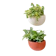 null Imitation Rattan Wall Hanging Pot 1
