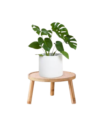 Flower Pot Holder	 1