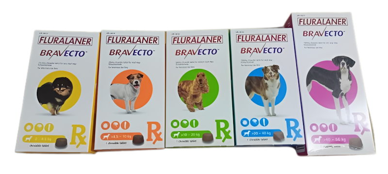 Chew for Dogs 1