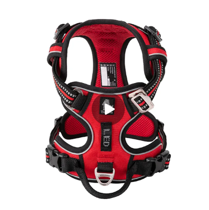 No-Pull Dog Harness 1