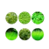 Aquatic Water Grass Seeds 1