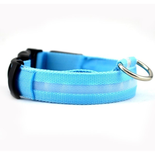 LED Cat Collar 1
