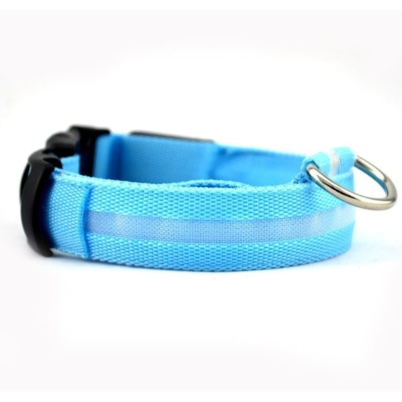 LED Cat Collar 1