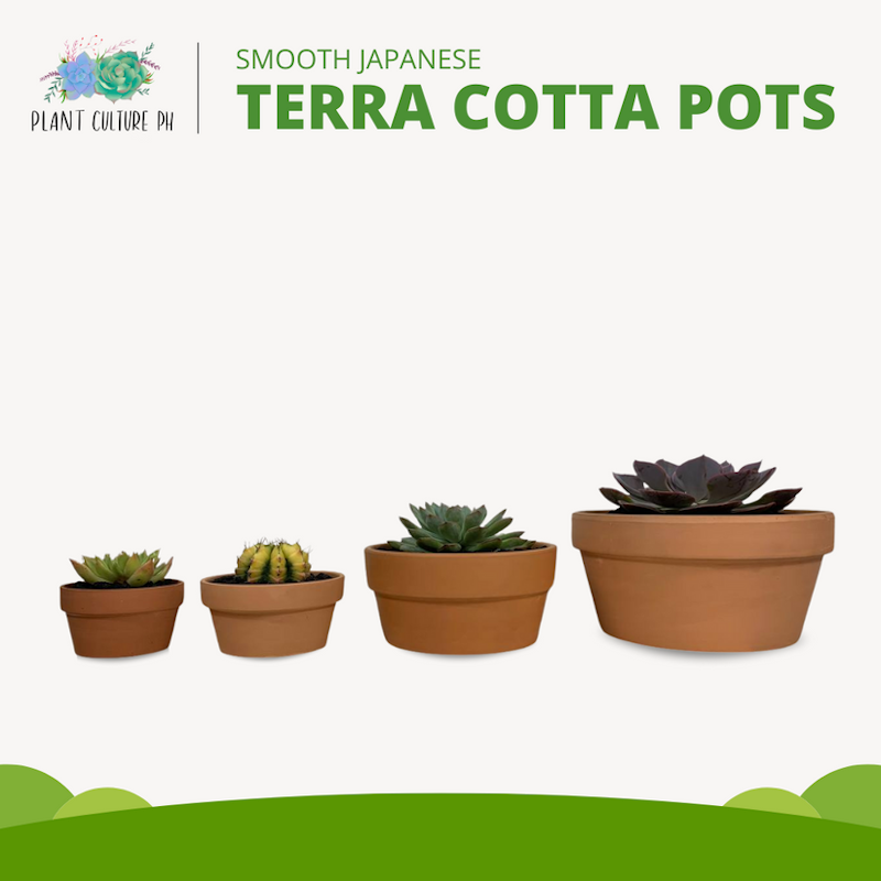 Smooth Japanese Terracotta Planters 2
