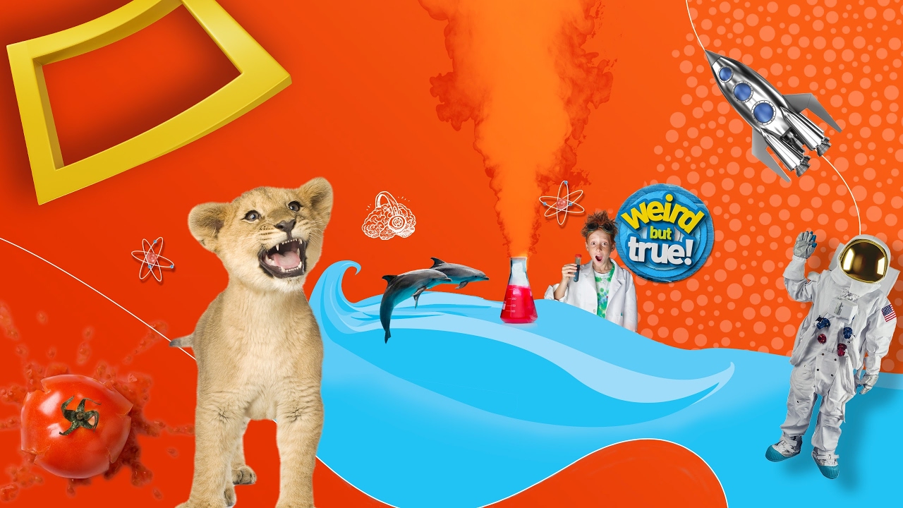 Nat Geo Kids 2
