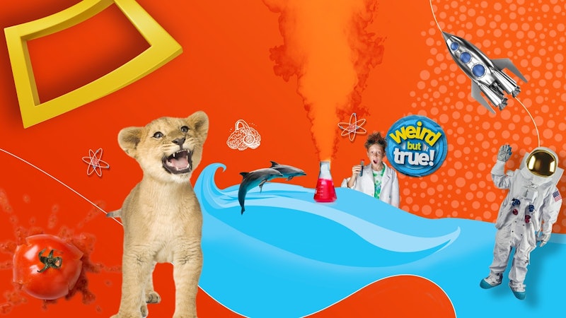 Nat Geo Kids 2