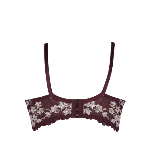 Push Up Bra 2