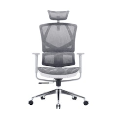 Ergonomic Office and Gaming Chair