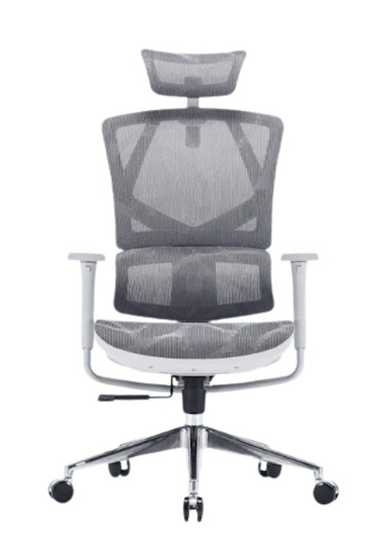 Ergonomic Office and Gaming Chair 1