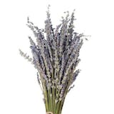 10 Best Dried Flowers in the Philippines 2026 | Buying Guide Reviewed by Interior Designer 2