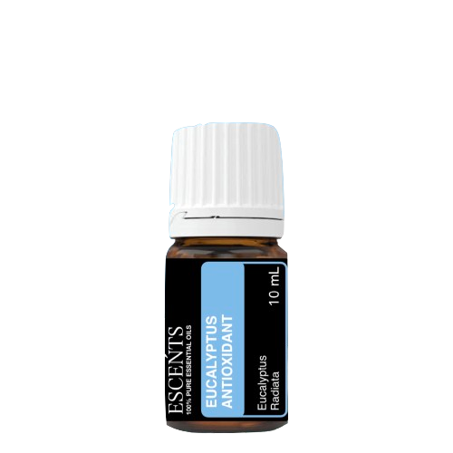 10 Best Eucalyptus Oils in the Philippines 2026 | ABCD Organics, Human Nature, and More 4