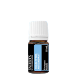 10 Best Eucalyptus Oils in the Philippines 2026 | ABCD Organics, Human Nature, and More 4