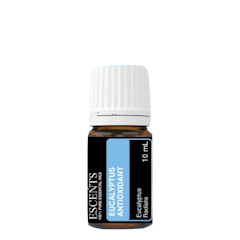 Eucalyptus Antioxidant