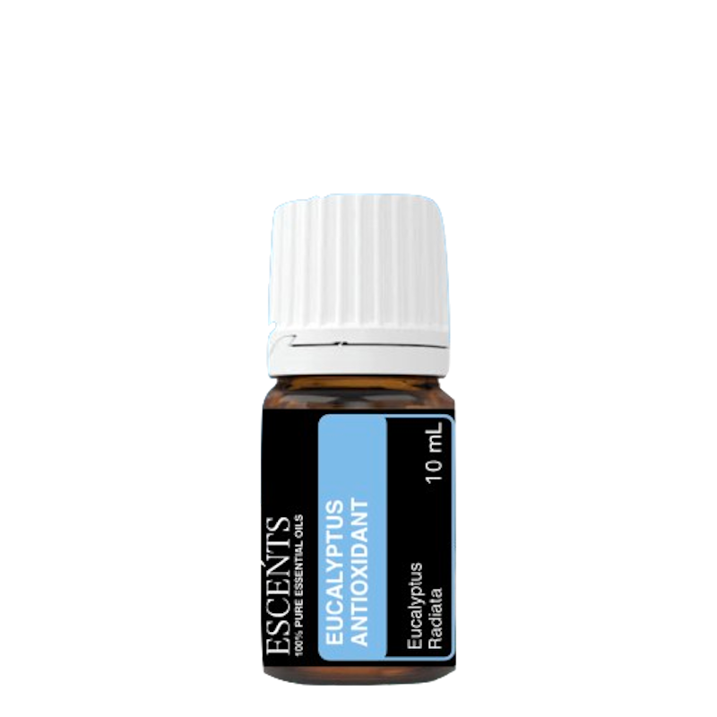 Eucalyptus Antioxidant 1