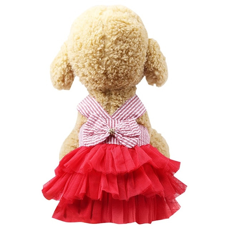 Summer Dog Lace Tulle Dress 4