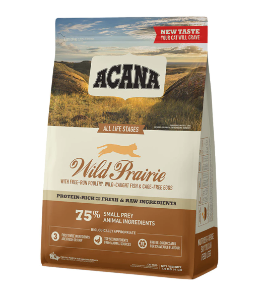 10 Best Kitten Food in the Philippines 2026 | Buying Guide Reviewed by Veterinarian 4
