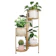 6-Tier Folding Plant Stand 1
