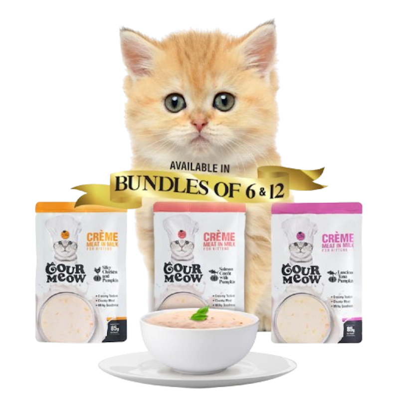 Supplements Can You Mix Dry Cat Food With Wet MEOW MIX Original