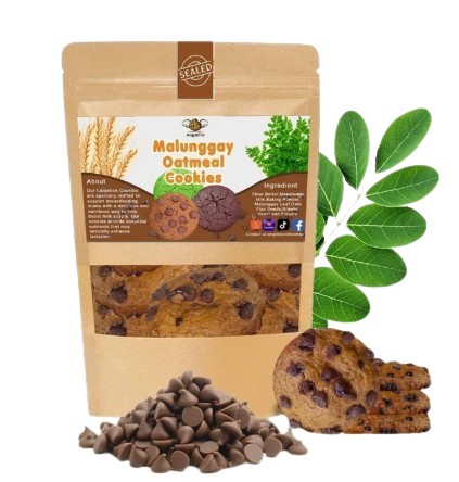 Lactation Oatmeal Malunggay Cookies	  1