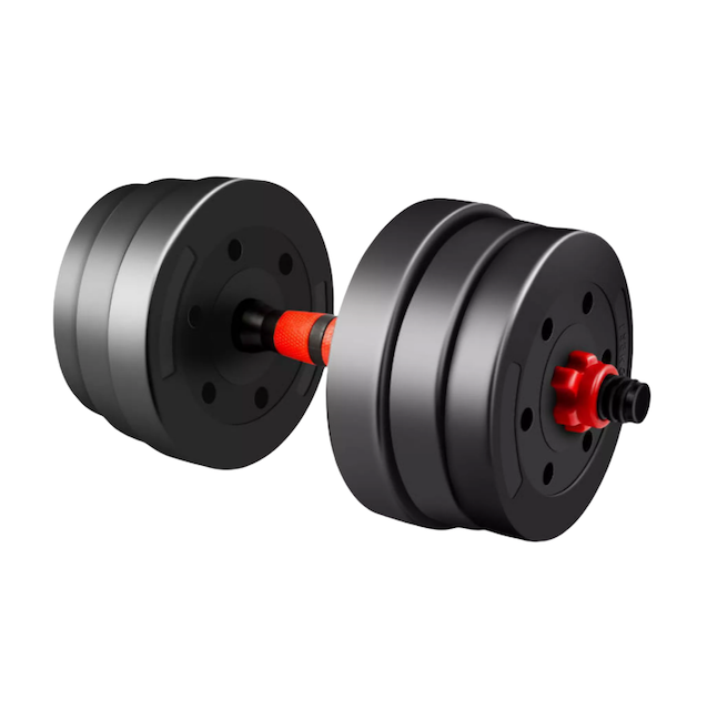 10 Best Dumbbells in the Philippines 2025 Buying Guide Reviewed