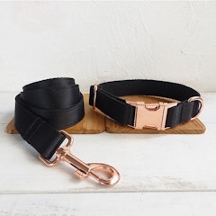 Stylish, Customizable Collar and Leash Set for Your Pup