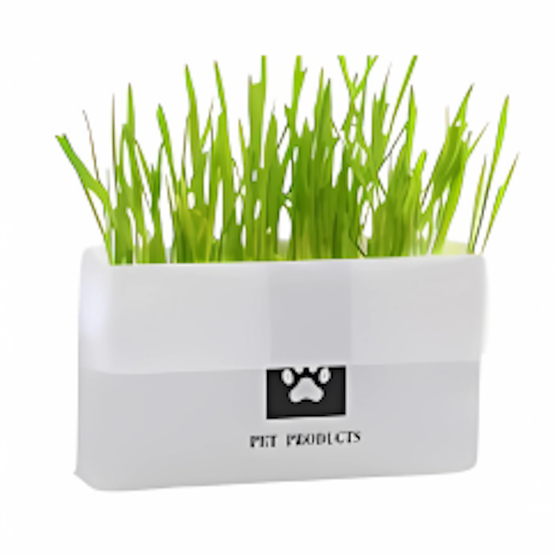 Natural Cat Grass Planting Kit 1