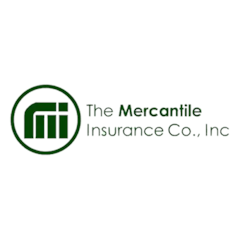 Motor Car Insurance