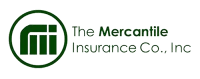 Motor Car Insurance 1
