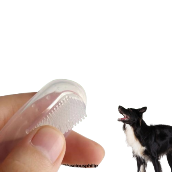 Dental Finger Brush 2