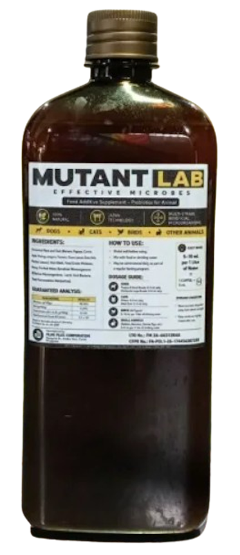 Probiotics + MultiVitamins 1