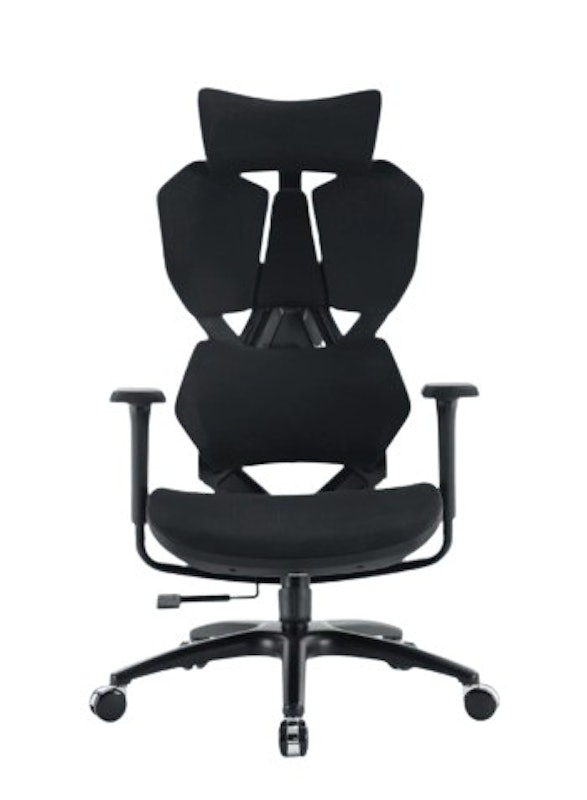 Xallking Ergonomic Gaming Chair 1